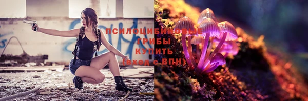 мяу мяу мука Алексеевка