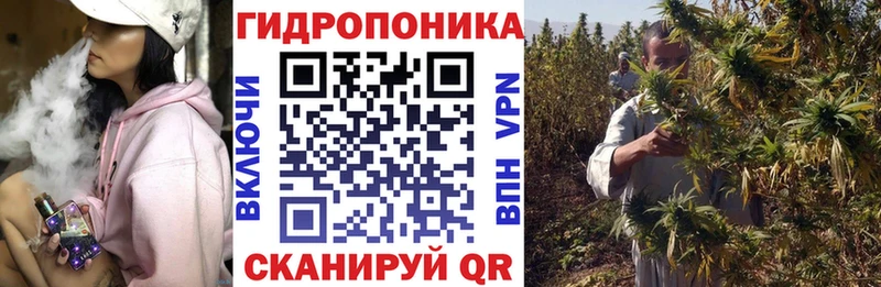 Каннабис конопля  Берёзовский 